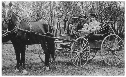 [Lafayette Waterbury with wife & child in horse-drawn buggy]